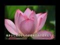 【IA】生きとし生けるもののために_HD