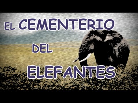 Vídeo: ¿Hay Cementerios De Elefantes? - Vista Alternativa