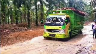 Story WA Truk HDL Muat Sawit