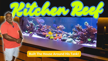 Yasas built his house around this Reef Tank!