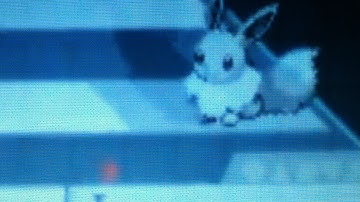 Shiny eevee after 204 eggs via masuda method {first 1/1366}