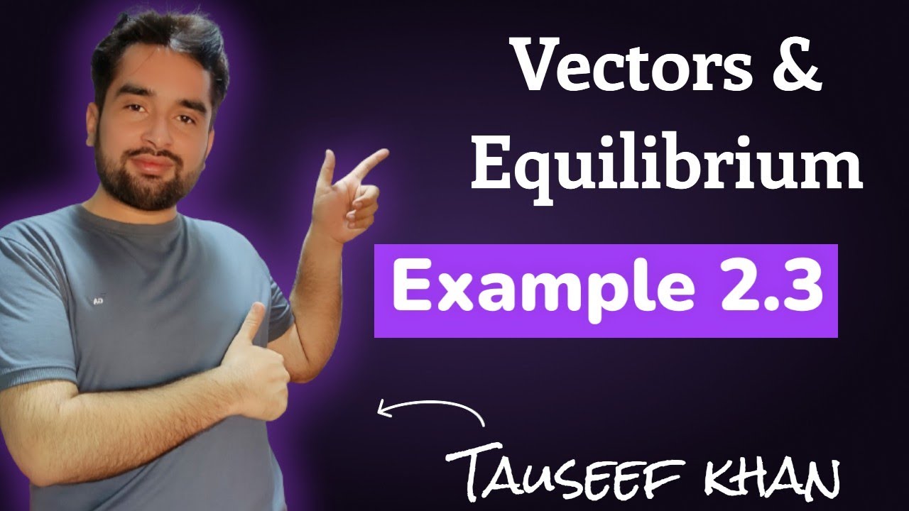 Example 2.3 | Vectors and Equilibrium | 11th Physics - YouTube