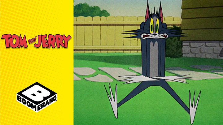 Jerry & The Fugitive Seal | Tom & Jerry | Boomerang UK