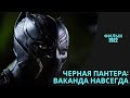 Чёрная Пантера: Ваканда навсегда (Black Panther: Wakanda Forever) 2022 / [Обзор][вся информация]