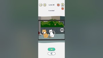 Brain Maze Story Level 28 Take a clear picture as a souvenir!