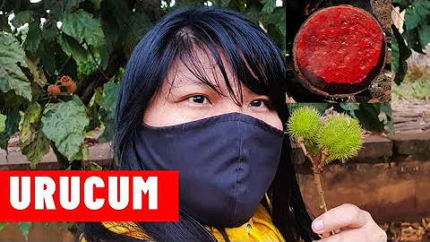 Pode passar urucum no cabelo?