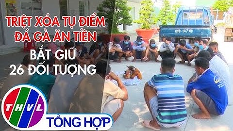 Triệt xóa tụ điểm đá gà ăn tiền, bắt giữ 26 đối tượng