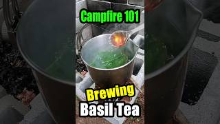 Making Basil Tea on a Campfire!