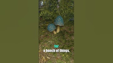 This Setting Makes Nighttime Tree Chopping WAY Easier in Rust! #rust #rustshorts #rusttips