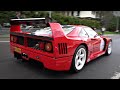 Street-Legal Ferrari F40 LM with Straight Pipes | Start Up, Revs, Power Launch & More!