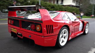 Street-Legal Ferrari F40 LM with Straight Pipes | Start Up, Revs, Power Launch & More!
