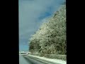 Christmas Music "Rockin' Around / Christmas Tree" Brenda Lee