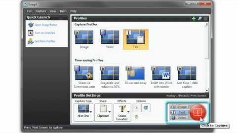 Snagit Capturing Text