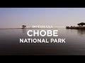 Chobe national park botswana  safari365