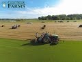 Green Thumb Farms Turfgrass