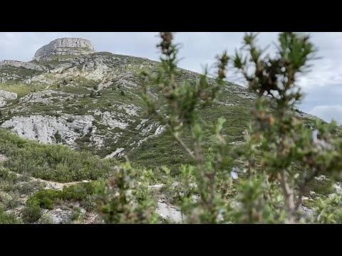 Aubagne : une randonnée sur les traces du film 