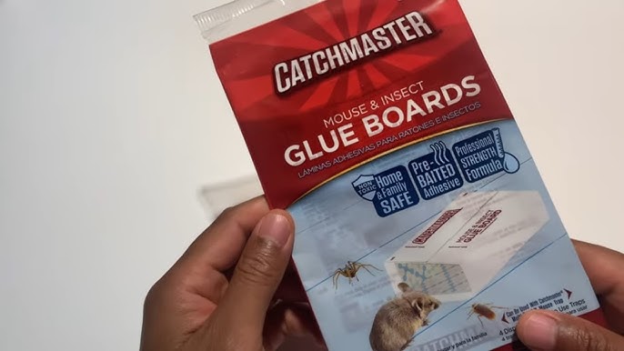 Catchmaster 72TC Glue Boards - box (72 glue boards) - Best Pest