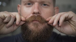 Beard Trim Update: 4 Month Beard Growth