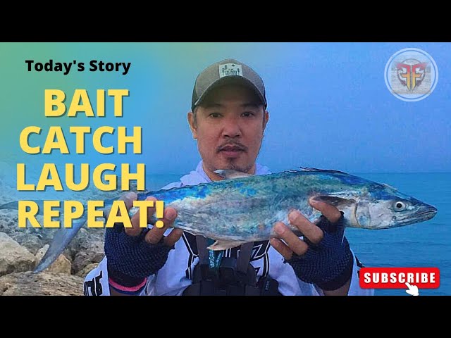 How To Catch Kingfish - SHIMANO FISHING 