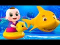 Baby Shark Song New Compilation | Baa Baa Sheep Song | Nursery Rhymes and Kids Songs | Baby Angel