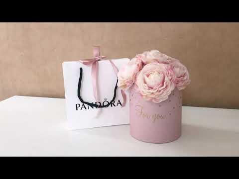 #PANDORA 💖 шармы для Ангелины