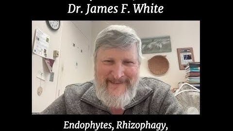 Episode 192 - Rhizophagy, Endophytes, & More with James F. White | A Regenerative Future