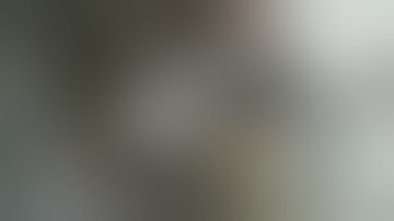 Disturbing New Video Shows Attack On MTA Bus Driver