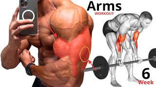 6 برنامج تمارين الذراعين المميز لنتائج مدهشة | 6 Outstanding Arm Workout Program for Amazing Results
