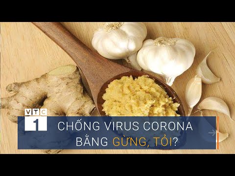 Video: Kháng thể nào nên có đối với coronavirus sau khi bị bệnh