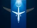 The plane is longer. The whale is 3× heavier. 🐋 #shorts