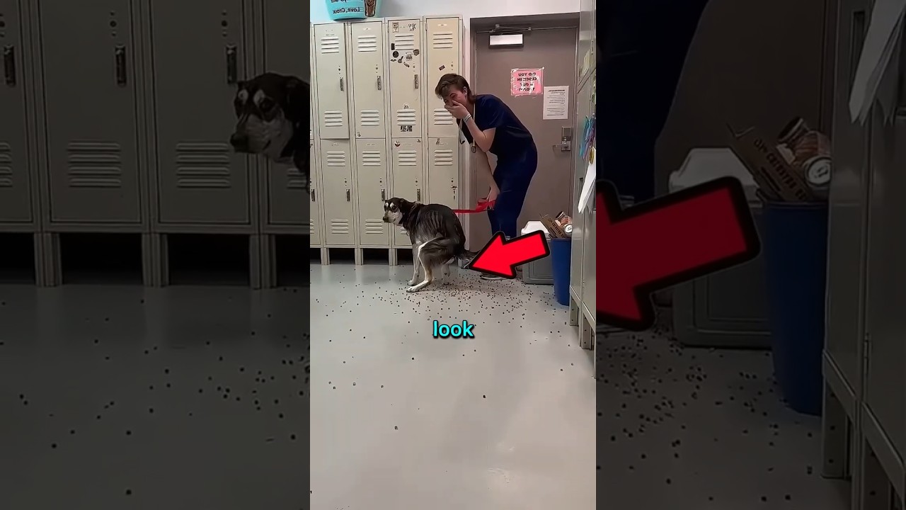 He SWALLOWED 1,000 Water Beads!
