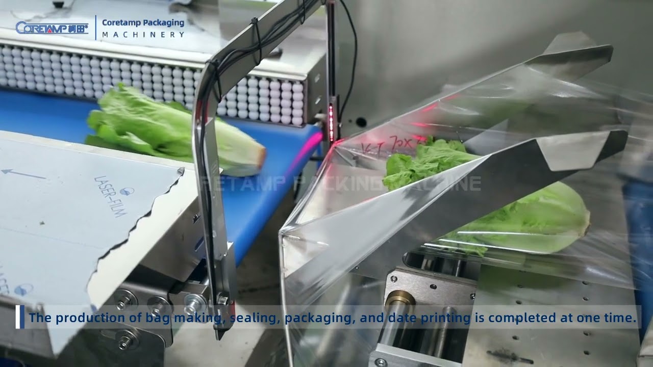 Automatic Fresh Lettuce Packing Machine YouTube