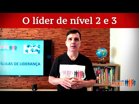 Vídeo: O que é um líder de nível 2?