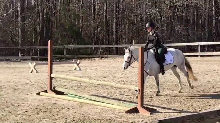 Long Story Short (Cloudy) schooling