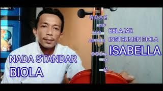 Belajar Biola Pemula - Instrumen Isabella(Amy) - Zuli Violin Cover