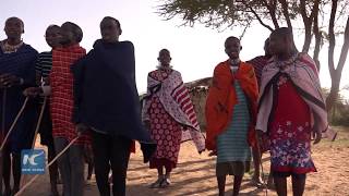 welcome to traditional Maasai wedding