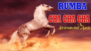 Rumba ► Mambo ► Cha Cha Cha ► Instrumentals Music ► Dancing Nonstop Music 2023