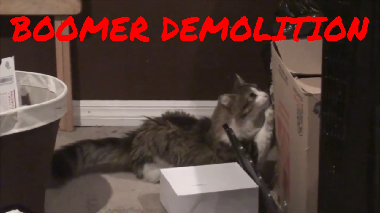 neighborhood synonym BOOMER DEMOLITION