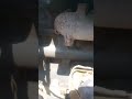 A Quick Blow Job Can Make All The Difference A Quick Blow Job Can Make All The Difference