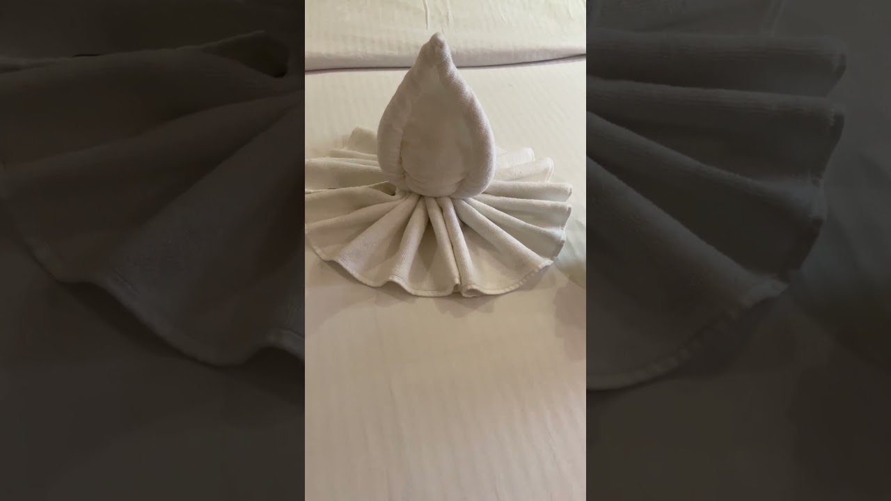 ホテルに戻ったらイカとイソギンチャクがいた。#タオルアート