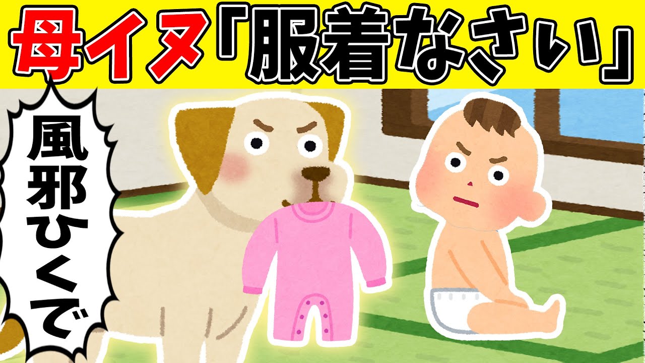 【感動】うちの母犬さん、0歳児の娘を我が子のように世話してしまう【ゆっくり】