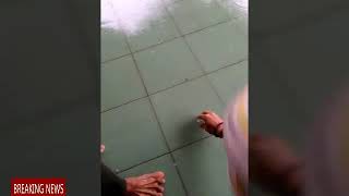 Wangon Hujan Es Dan Puting Bliung 11 Janwari 20¹8