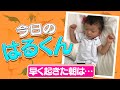 今日のはるくん〜「早く起きた朝は…」