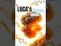 LUCA’s Ribosomes: Life’s First Molecular Machine (4 Billion Years Ago)