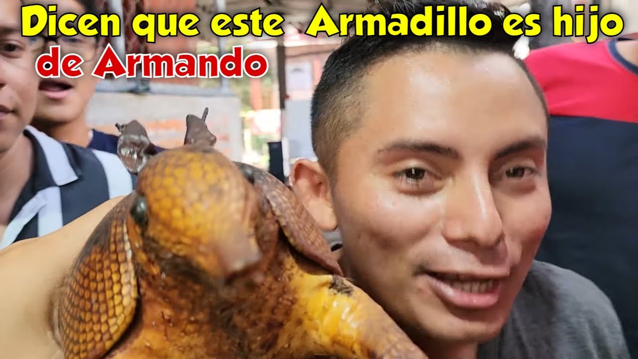 Nos llevaron un Armadillo que es igualito a Armando. Otro de la Plaga le debe dinero a Fátima. P 11