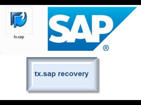 SAPGui 7.4 tx.sap failed to open | SAP Portal 7.4