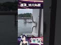 1930的老船-冰川丸號 #vtuber #shiro #橫濱