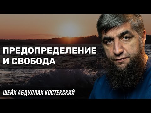 Предопределение и свобода