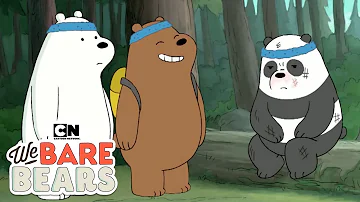 We Bare Bears | Best of Panda 🐼 (Hindi) | Cartoon Network