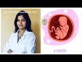 6th month of pregnancy in kannada  21 to 25 weeks of pregnancy  dr sindhu ravishankar